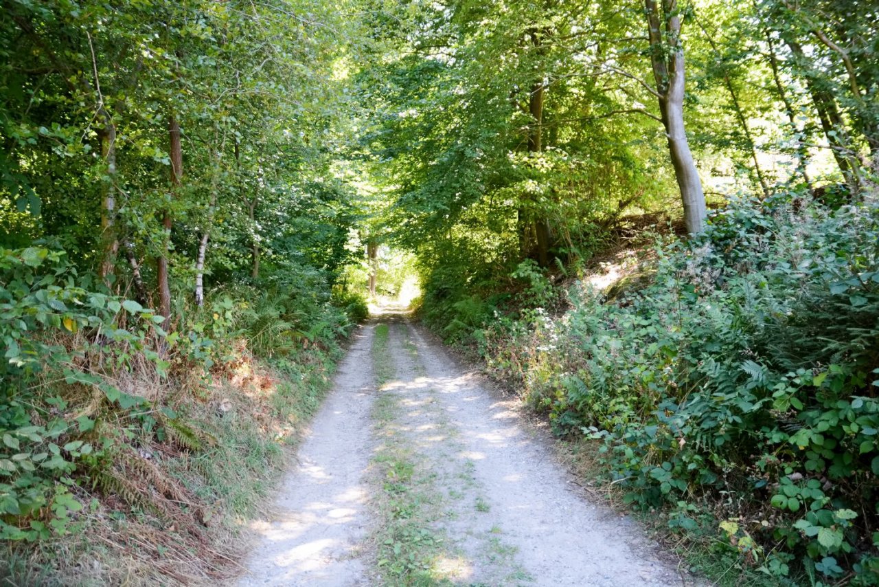 ~~Dein neuer Lieblingsplatz im Landschaftsschutzgebiet am Nord-Ostsee-Kanal~~