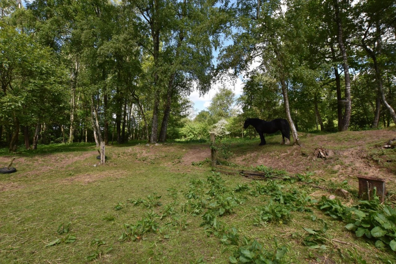 ~~Dein neuer Lieblingsplatz im Landschaftsschutzgebiet am Nord-Ostsee-Kanal~~