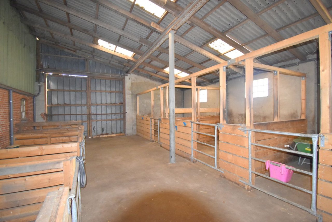 Sanierter Hof mit Pelletheizung, eigenem Brunnen, in Alleinlage mit 7,5 ha Eigenland in Dithmarschen