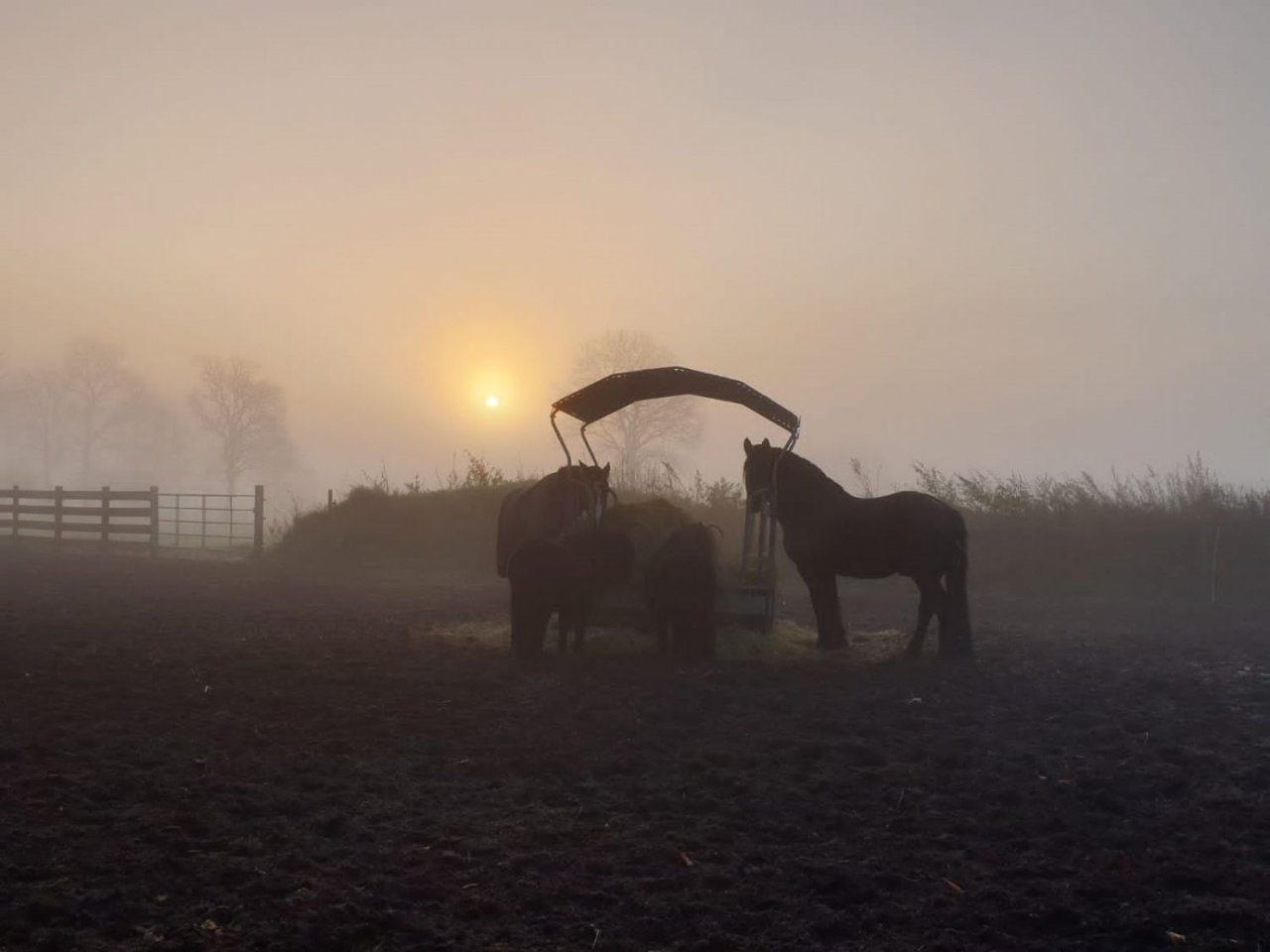 Sanierter Hof mit Pelletheizung, eigenem Brunnen, in Alleinlage mit 7,5 ha Eigenland in Dithmarschen