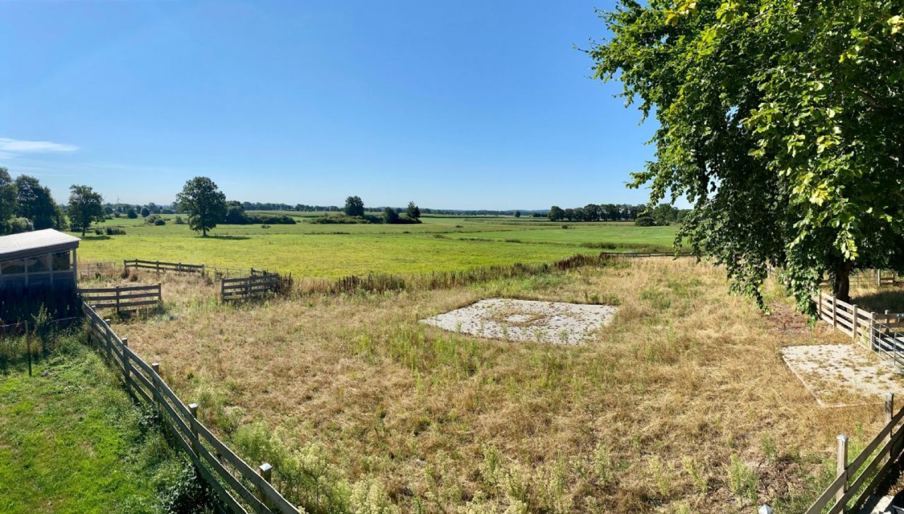 Ausblick im Sommer 14.08.2022